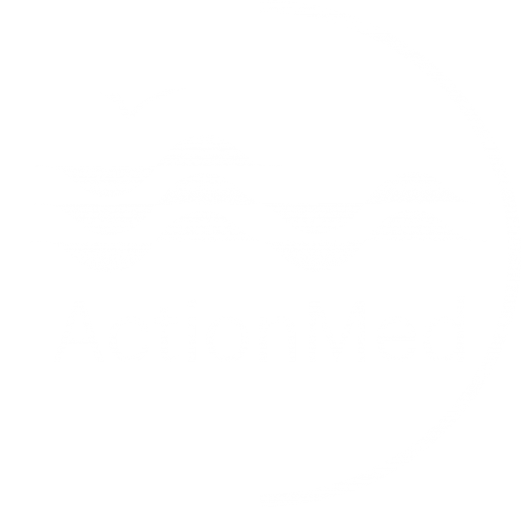 ACTIONMED FINAL SCIENTIFIC CONFERENCE  JANUARY 10th-12th 2017