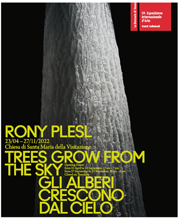 “TREES GROW FROM THE SKY” 18 April – 27 November 2022